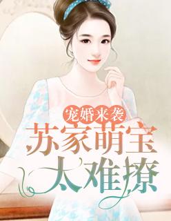 婚宠甜蜜蜜苏沁宝