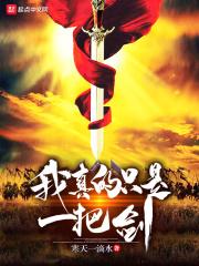 我真剑是什么意思
