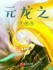 元龙bug