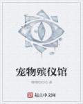 王者强势回归苏辰免费