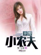 最强赘婿完结版