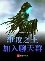 维度之主