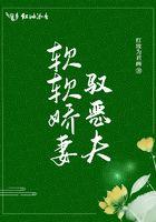 软软娇妻驭恶夫大结局是什么