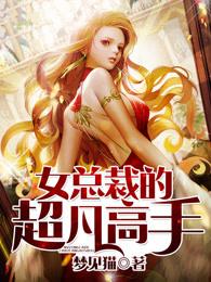 女总裁的超凡高手漫画全集