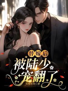 替嫁暖婚陆少