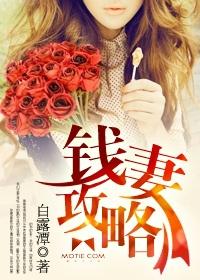 上分攻略多少钱