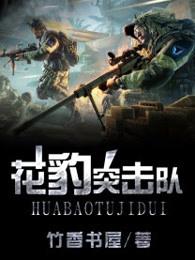 花豹突击队全集目录