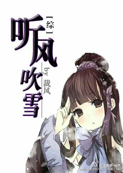 听风扫雪的全部