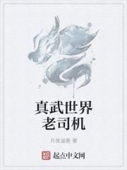 真武世界后续