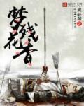 残花如一梦dj版