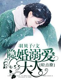 隐婚大boss太难缠