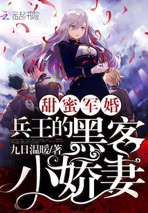 重生之兵王的黑客小妻