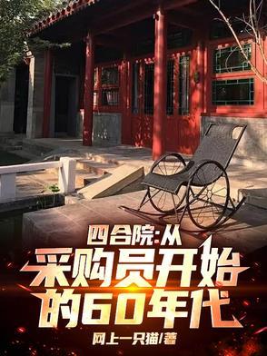 四合院从售货员到世界大亨笔趣阁