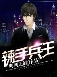 辣手兵王txt