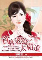 首席总裁太霸道
