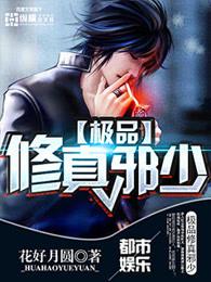 极品修真邪少全文