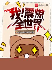 我震惊全世界1-100集免费观看