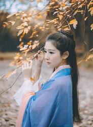 皇上太子妃啊
