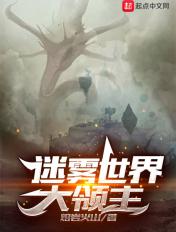 迷雾大领主作者锦绣山川