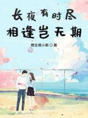 长夜有时尽大炎