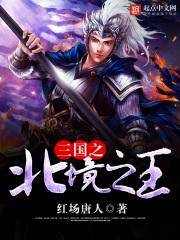 三国之北境之王 百度